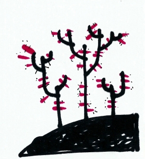 dibujo drawing minimal desert cactus plantas espina