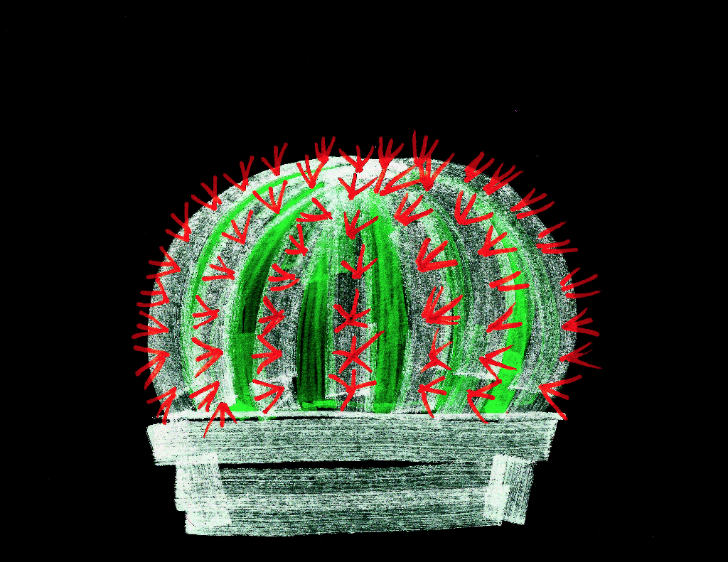 dibujo drawing minimal cactus crown espina