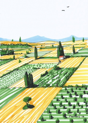 Castilla landscape drawing dibujo perspectiva Palencia Campo land